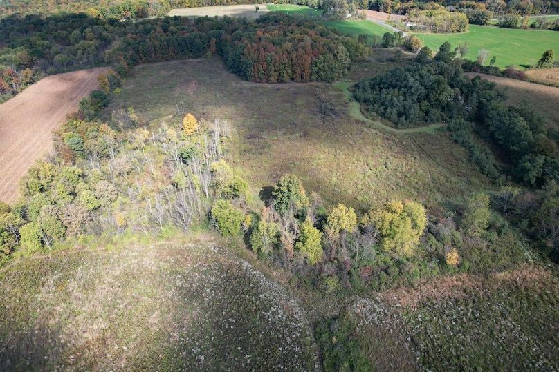 Tompkins_30.32_Hildreth_Estate_Phoros_22