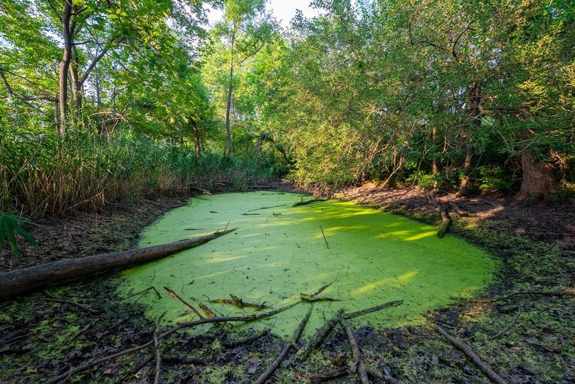 Copy of DSC06232 Large