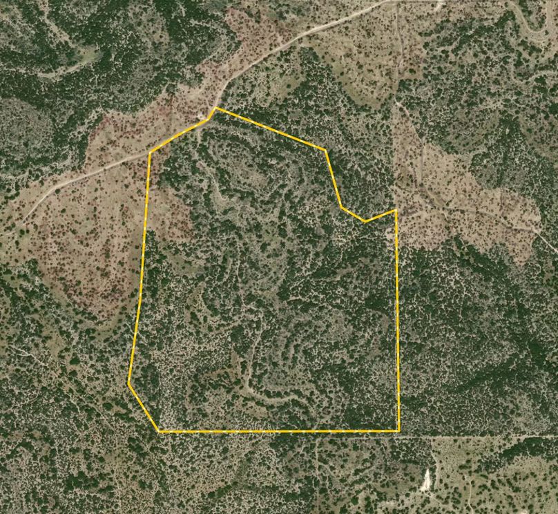 Screen Shot 2025-09-05 at 10.58.15 AM