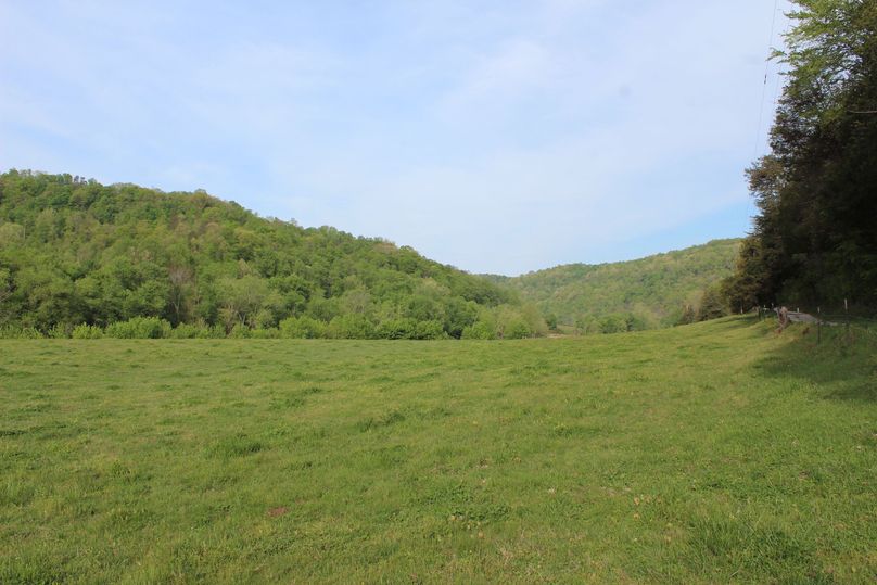 009 the open pasture or farm ground fields in the southwest area of the property