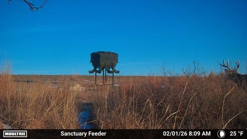 Temp_876933-20260201140945-100MFCAM_MFDC6363