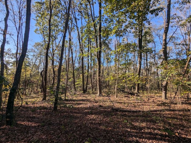 PXL_20251001_210428148