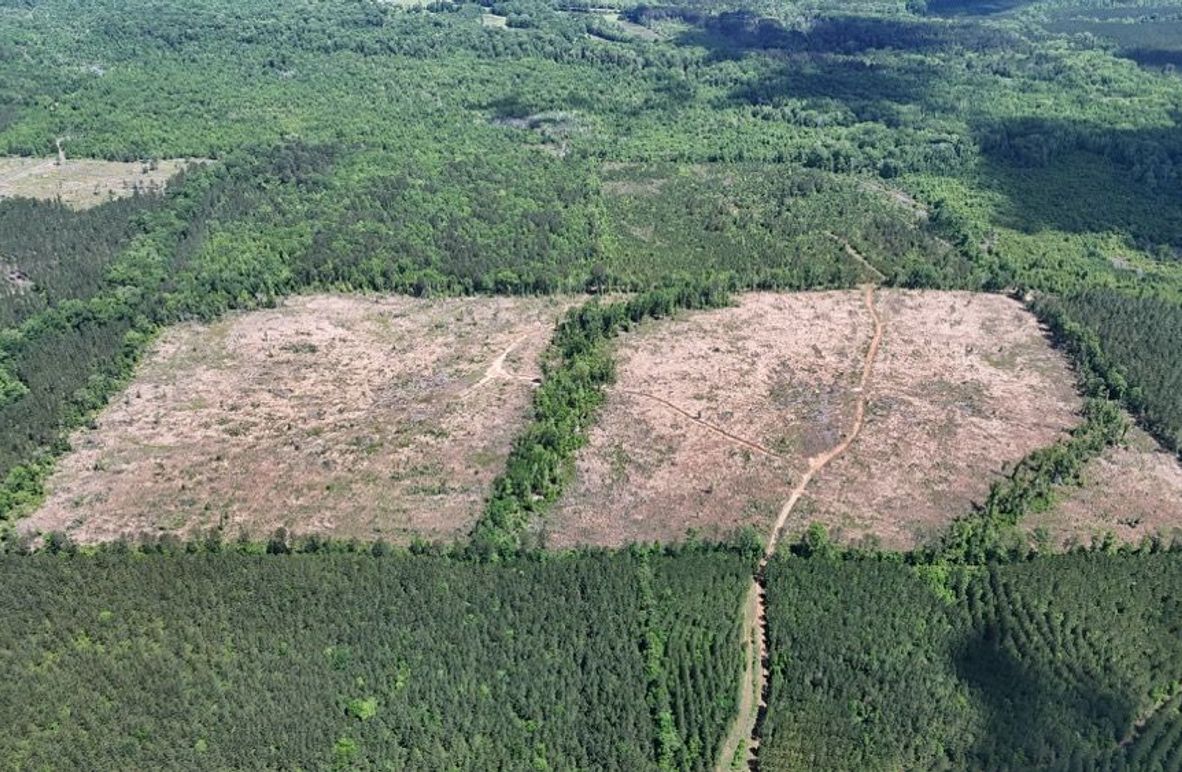 DJI_20250504003639_0463_D