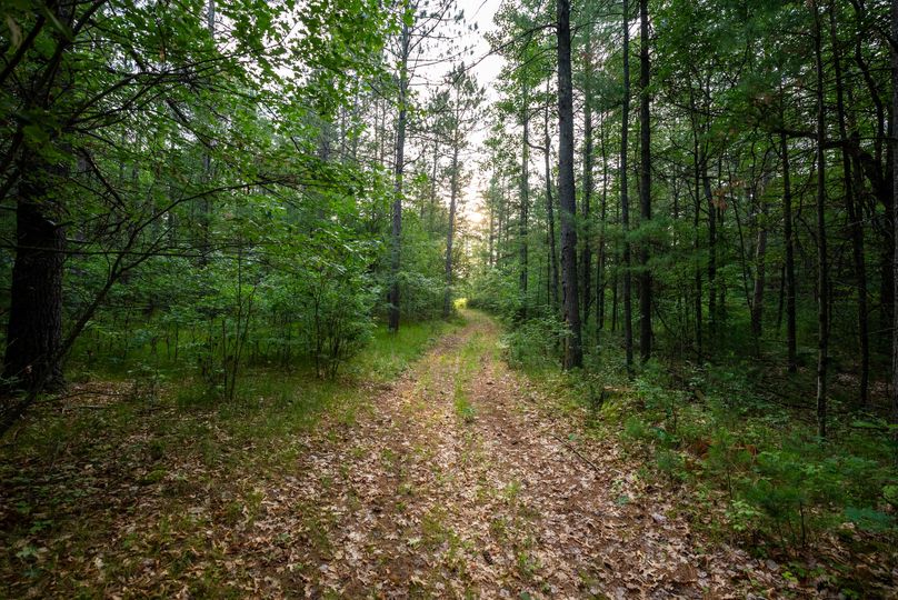 Ogemaw MI 475 Featured Pro Photo-01342