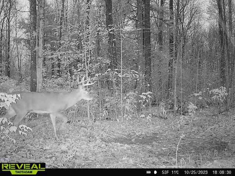 865814048724973-100-2-10252023180830-W1011792