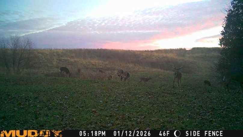 26011217182701005993_ColorizationType.none