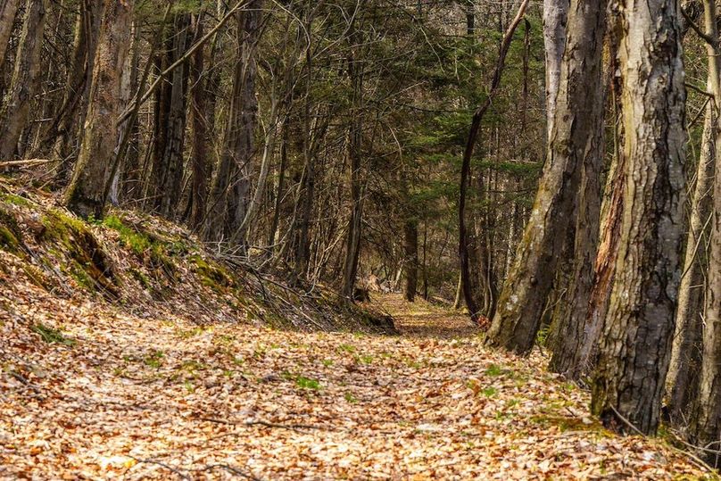 57-web-or-mls-IMG-57