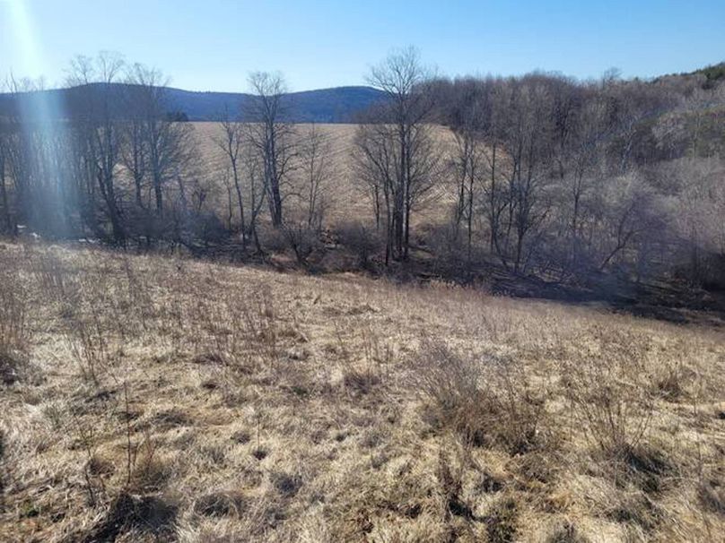 11067406-S7QsvtJjdxpqkS3D