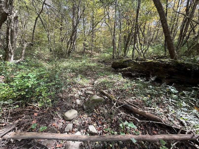 Tioga_30_Flanner Photo 18