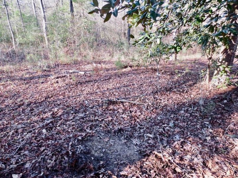 2896ABF2-DD78-4D95-A80C-FEF9E081310E_1_105_c