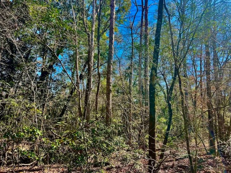 E2D689FB-C6C4-4B22-900B-4250A1723C41_1_201_a