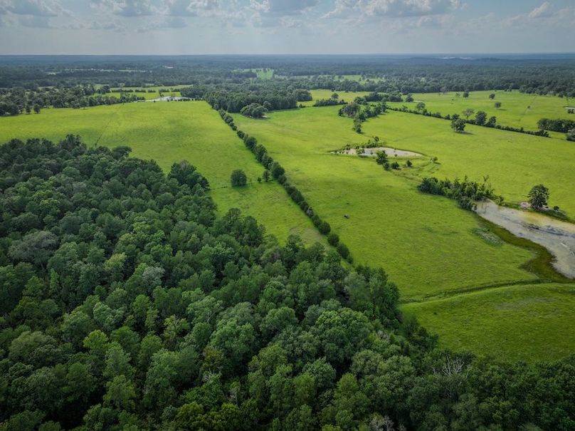 Copy of DJI_20240629172855_0024_D