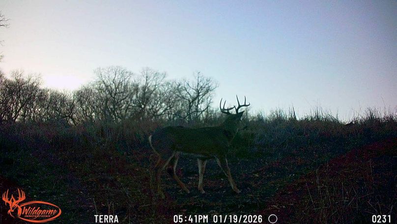 TRAIL CAM 3