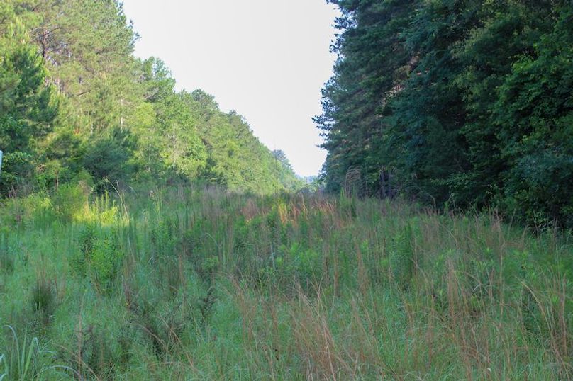 Copiah Co - 192 - Nutt-25