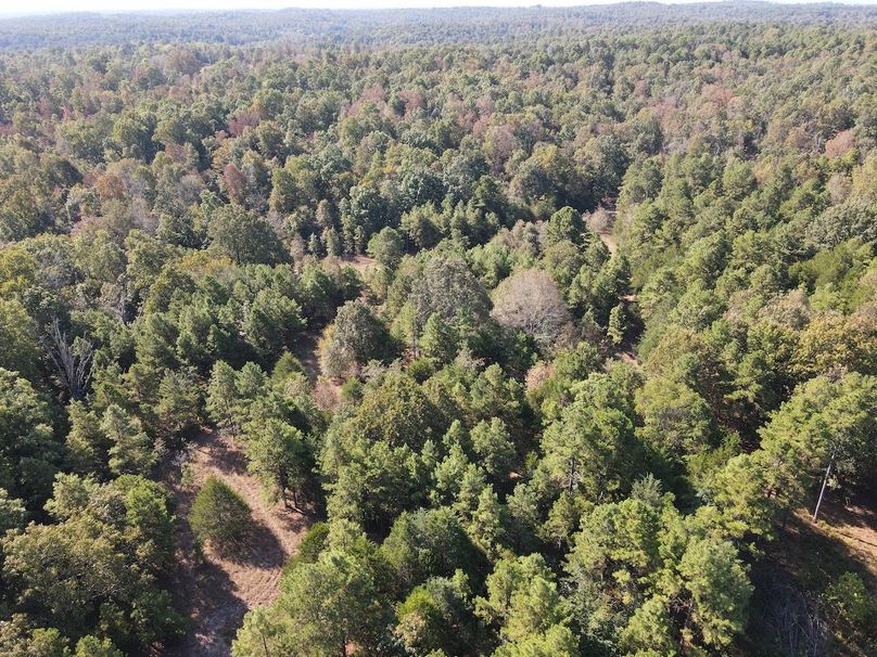 dji_fly_20250902_095304_717_1756824794713_photo