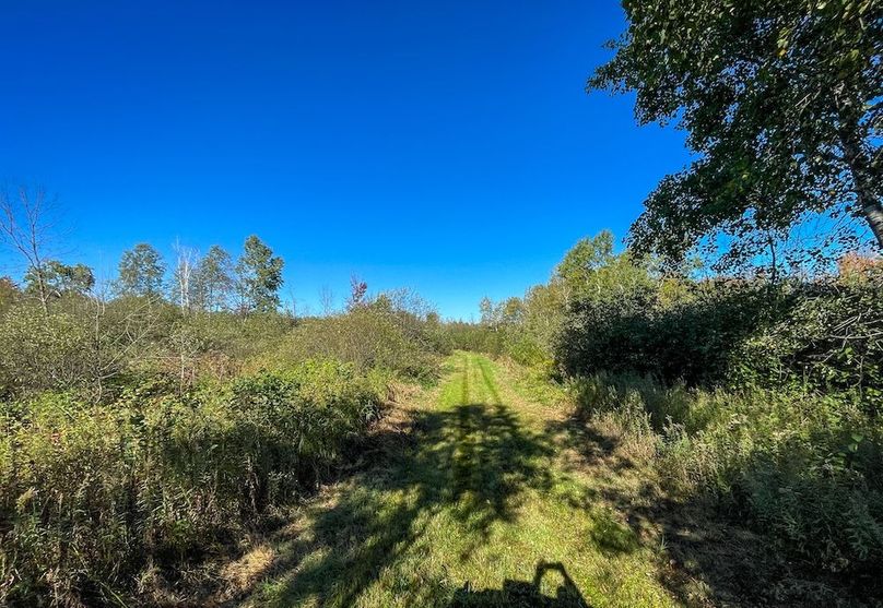 Wood 41.451, Collins -12