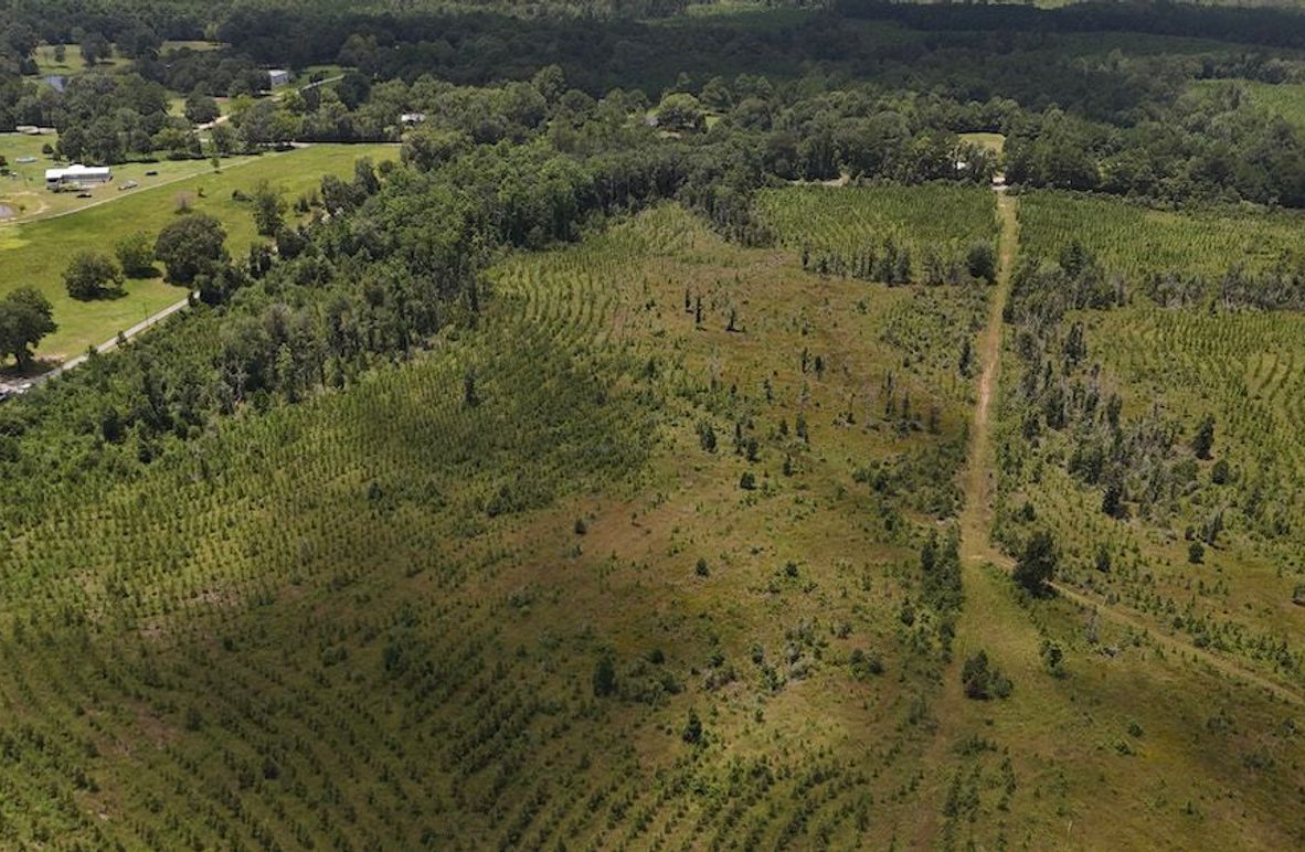 2-DJI_20240730131707_0002_D