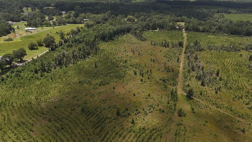 2-DJI_20240730131707_0002_D