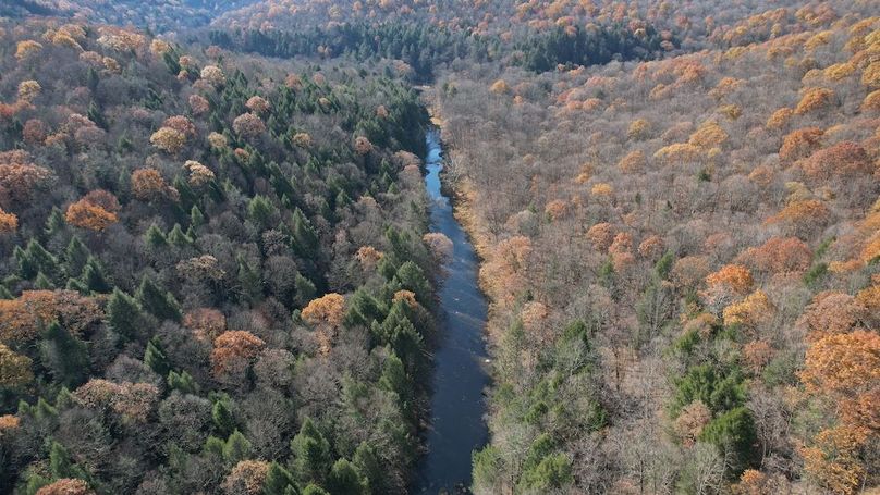 dji_fly_20251105_120402_890_1762380945161_photo