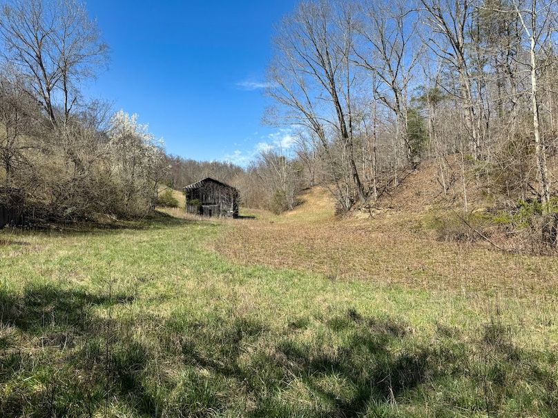 034 another view from the old back porch