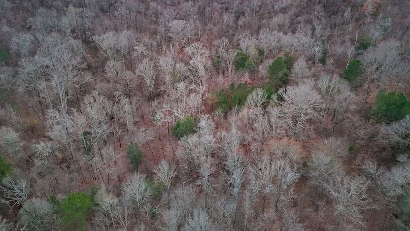 Yazoo Co - 75 - Batton-34