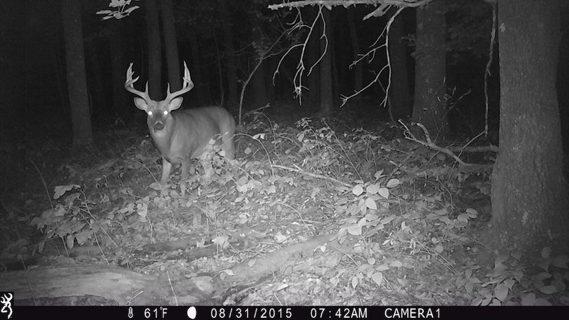 Sauk 174 Trailcam - 78