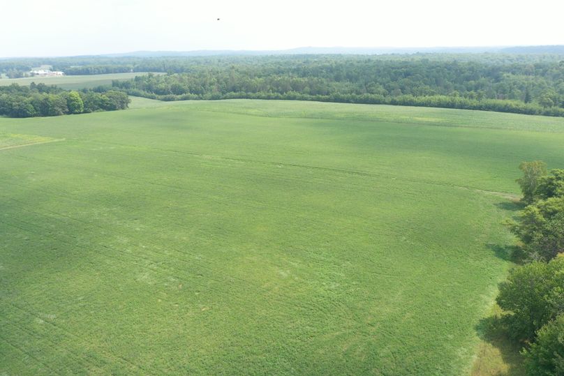 PANO0006 (2)
