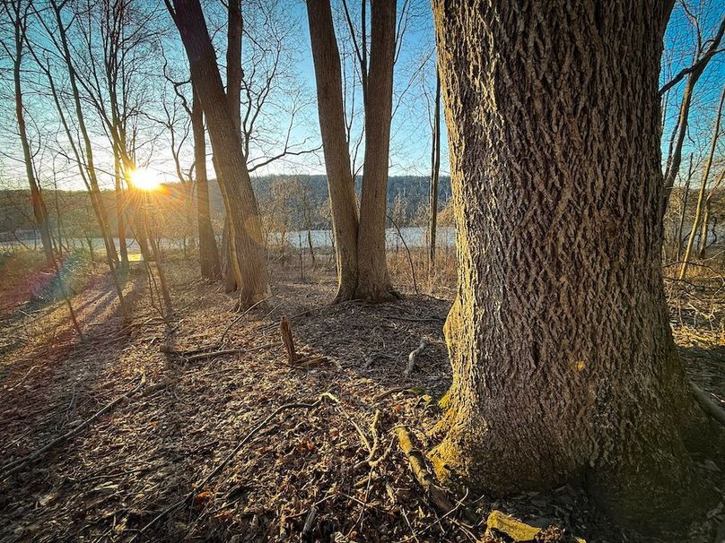 Cayuga 32 Stoyell Photos 42