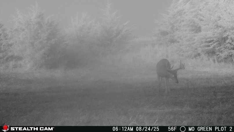 2025082406120001005444_ColorizationType.none