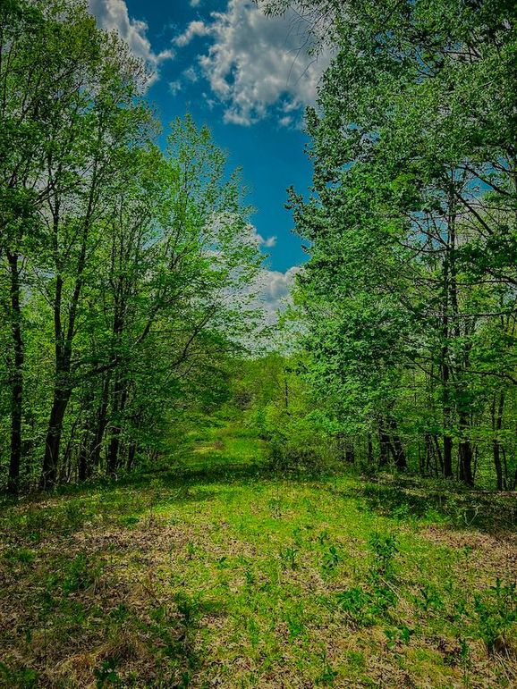 Doddridge, WV 64.69 AC Davis-20