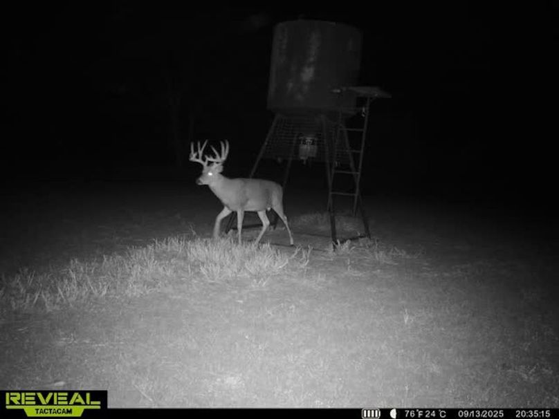 865509050735558-100-4-09132025203534-w1000436