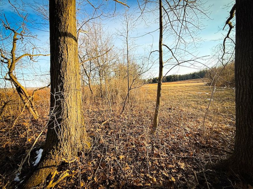 Seneca_24.54_Hohwald_Photos_38