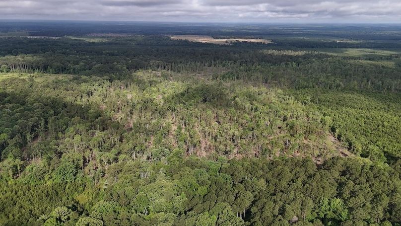 Copy of DJI_20250529215604_0531_D