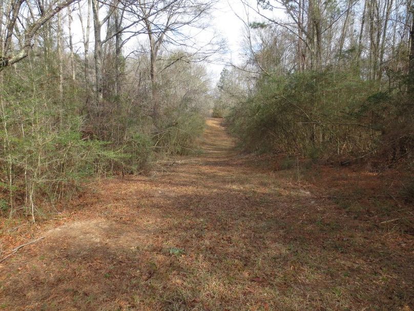 85889468-D2AF-4BDC-B232-C91762CC85AD_1_105_c