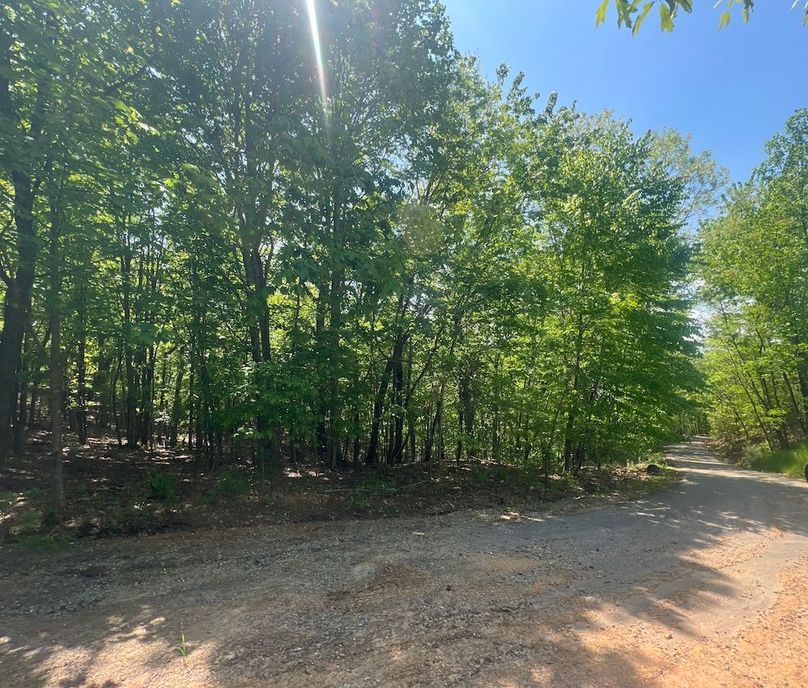 013 Buildable lot pic from road3