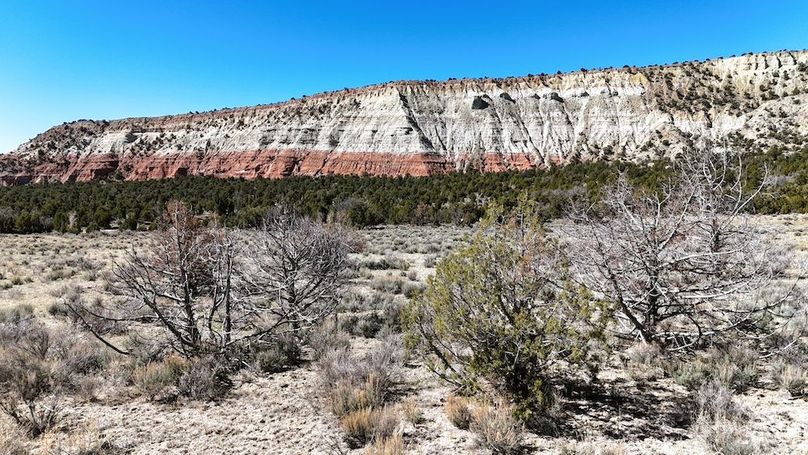 DJI_20240403111912_0160_D