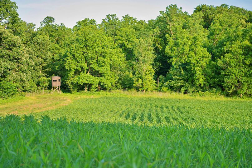 Harrison MO 480 Pro Photo_177 (11)