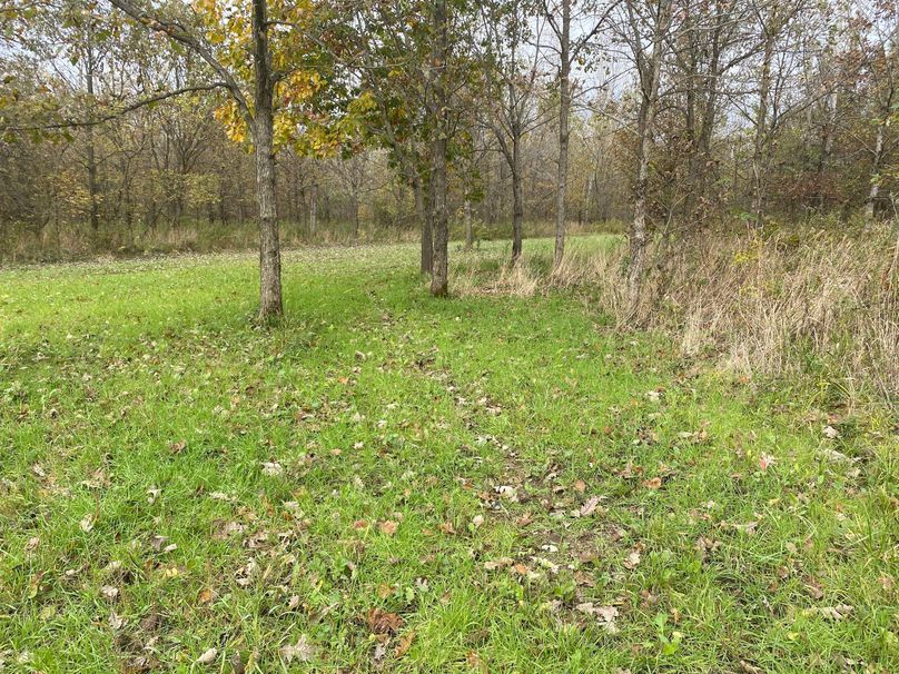 pics from late 2021 and early 2022. New plots being planted in Aug 2023 for new pics (70)