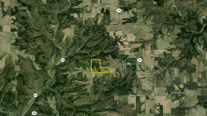 Screenshot 2024-10-23 080852