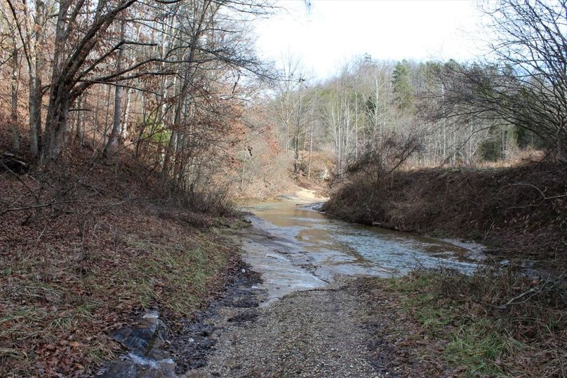 024 small creek crossing along the access into the property