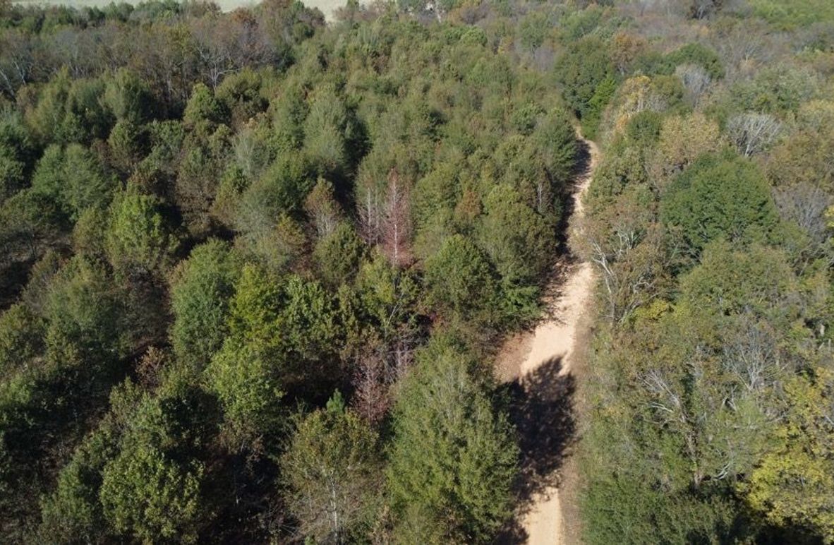 1a1 jeff 8320251111_0230