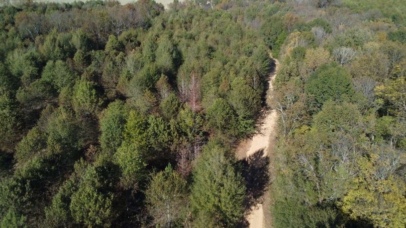 1a1 jeff 8320251111_0230