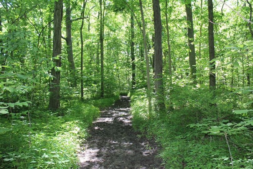 trail 38