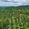 DJI_20260527141801_0001_D