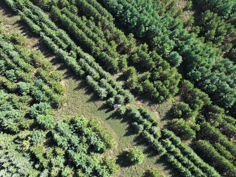 dji_fly_20240924_142228_0291_1727213957587_photo