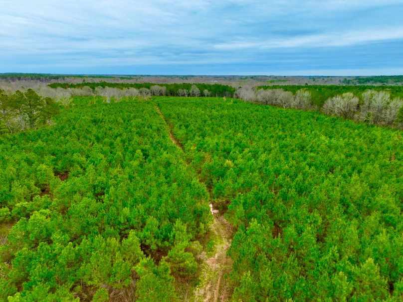 103CC701-03C6-448D-898F-FD32D9974BD2_1_105_c