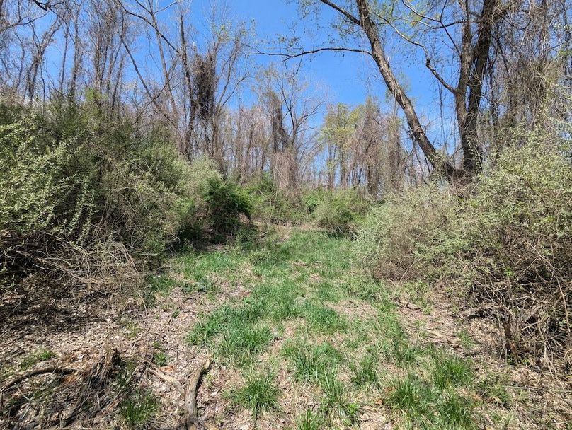 PXL_20250422_165021286