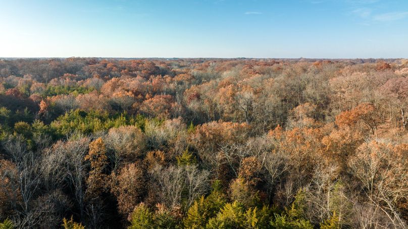 DJI_0197-HDR