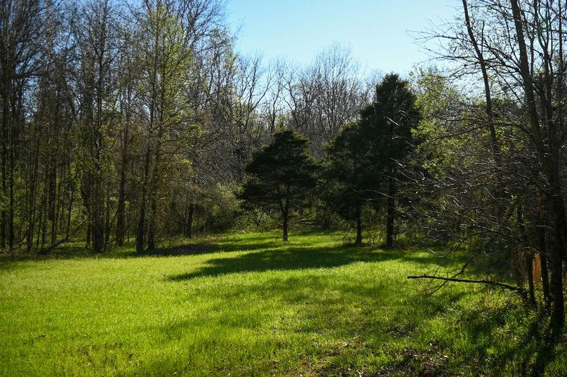 vandalia 450 (2)-2461