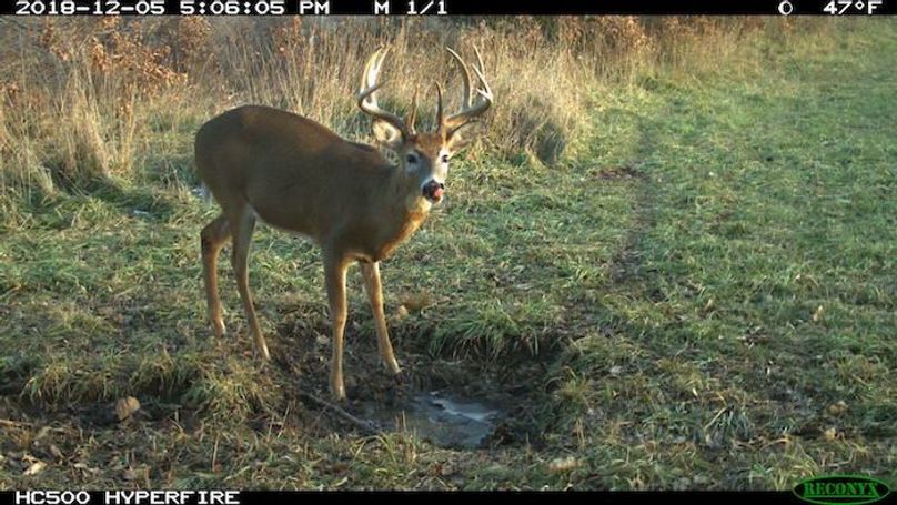 2018-12-05 17-06-05 M 1_1